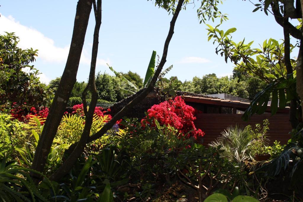 Quinta De Sao Caetano - Sao Miguel Acores Populo  Bagian luar foto