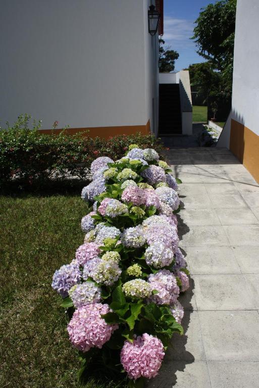 Quinta De Sao Caetano - Sao Miguel Acores Populo  Ruang foto